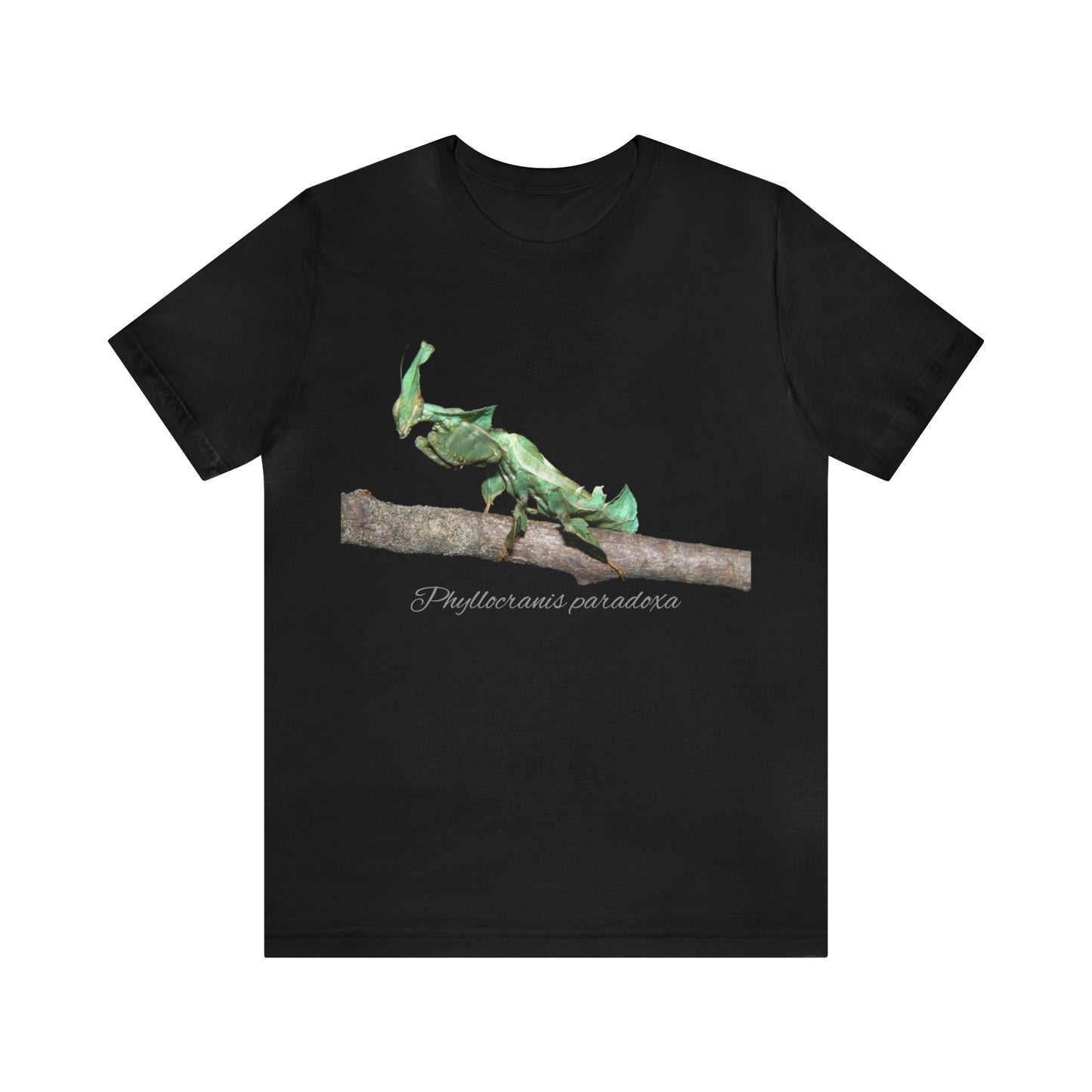 Phyllocrania paradoxa Unisex Jersey Short Sleeve Tee