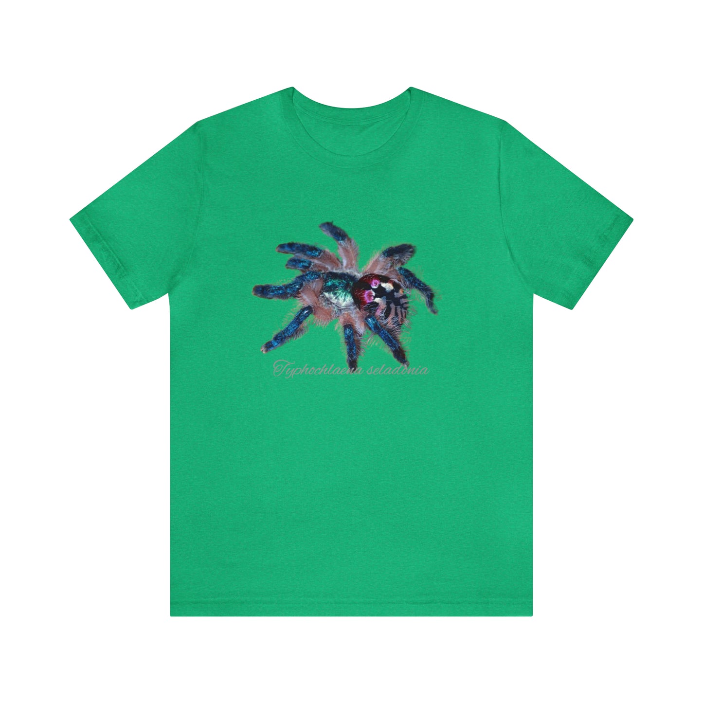 Typhochlaena seladonia Unisex Jersey Short Sleeve Tee