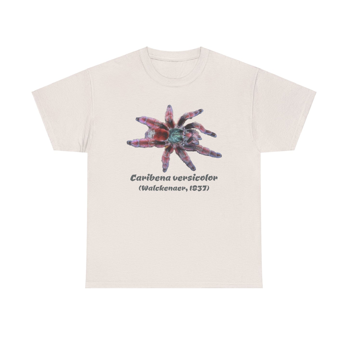Caribena versicolor Unisex Heavy Cotton Tee