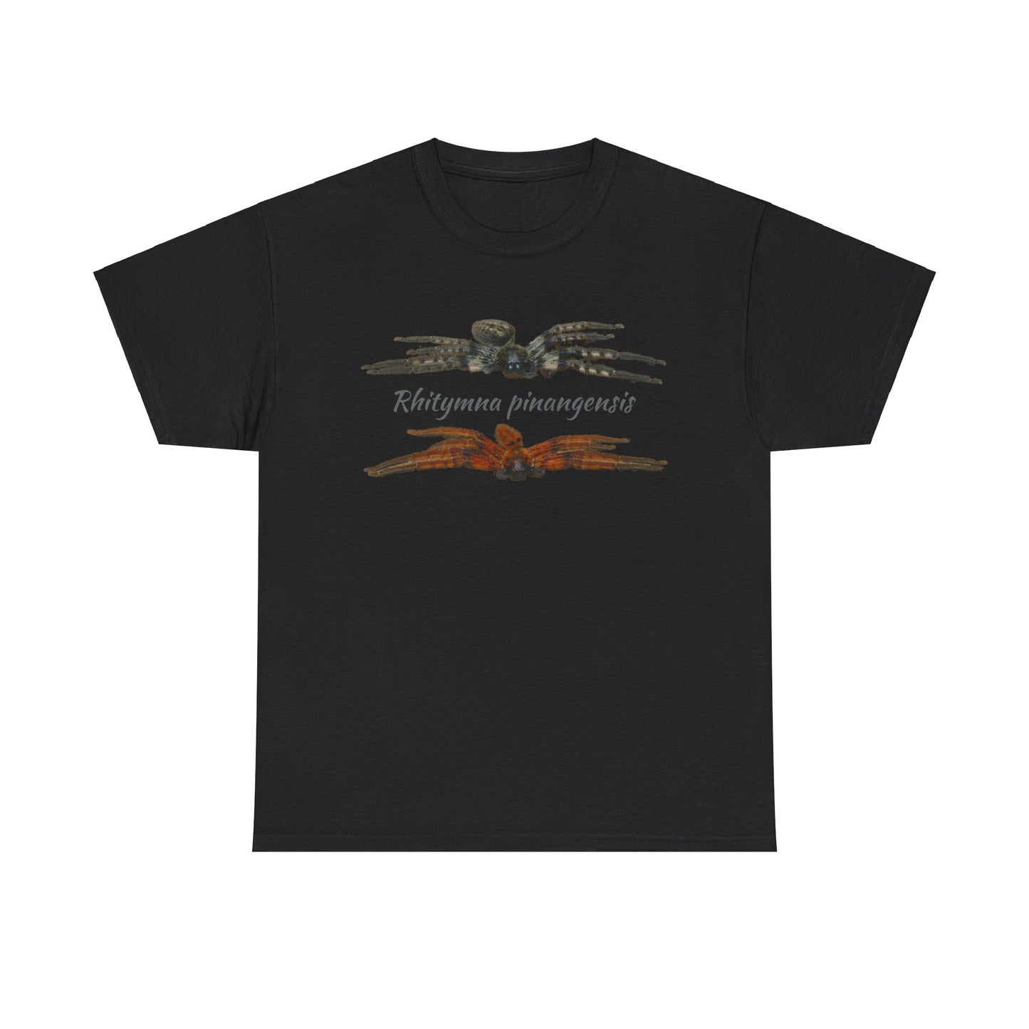Rhitymna pinangensis Unisex Heavy Cotton Tee