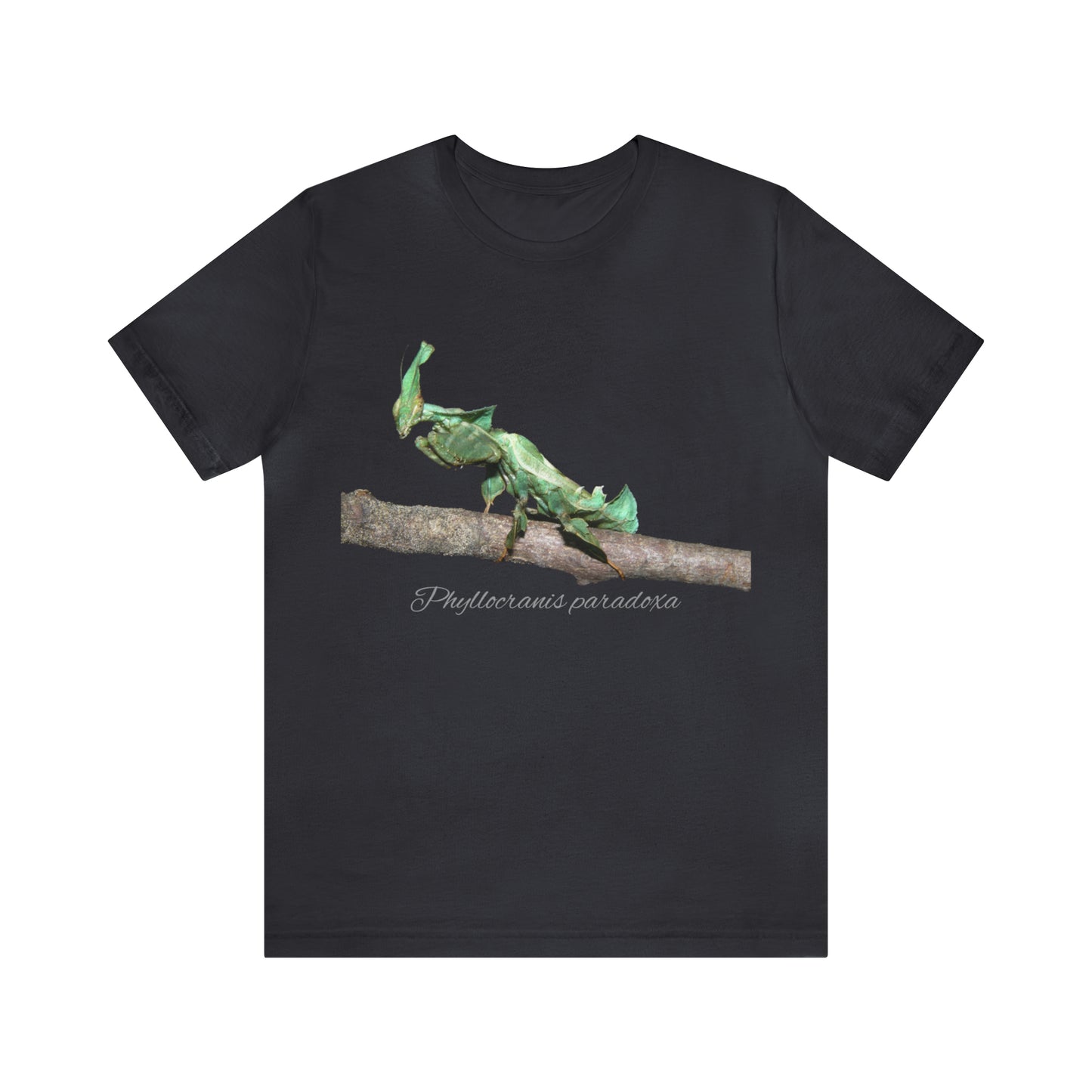 Phyllocrania paradoxa Unisex Jersey Short Sleeve Tee
