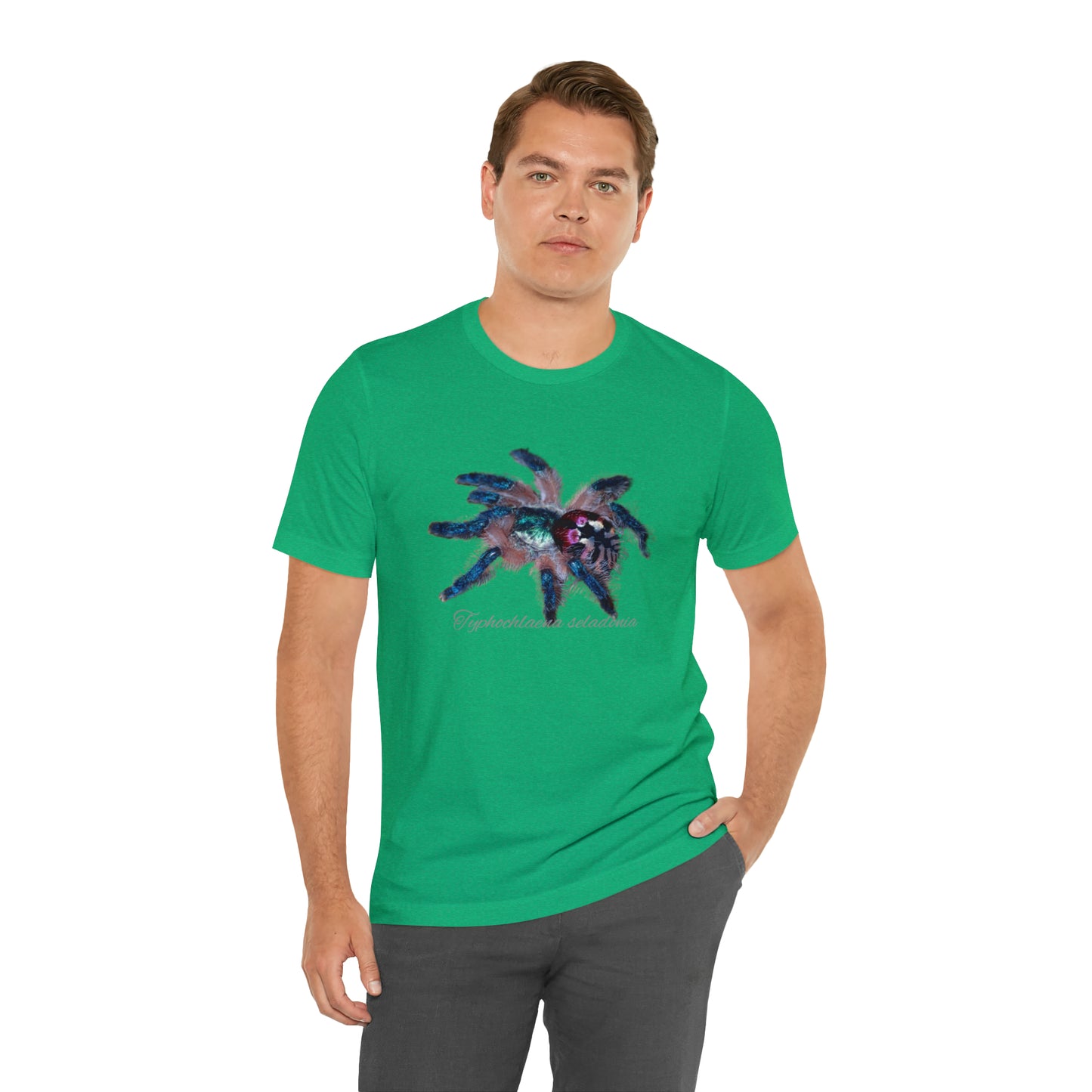 Typhochlaena seladonia Unisex Jersey Short Sleeve Tee