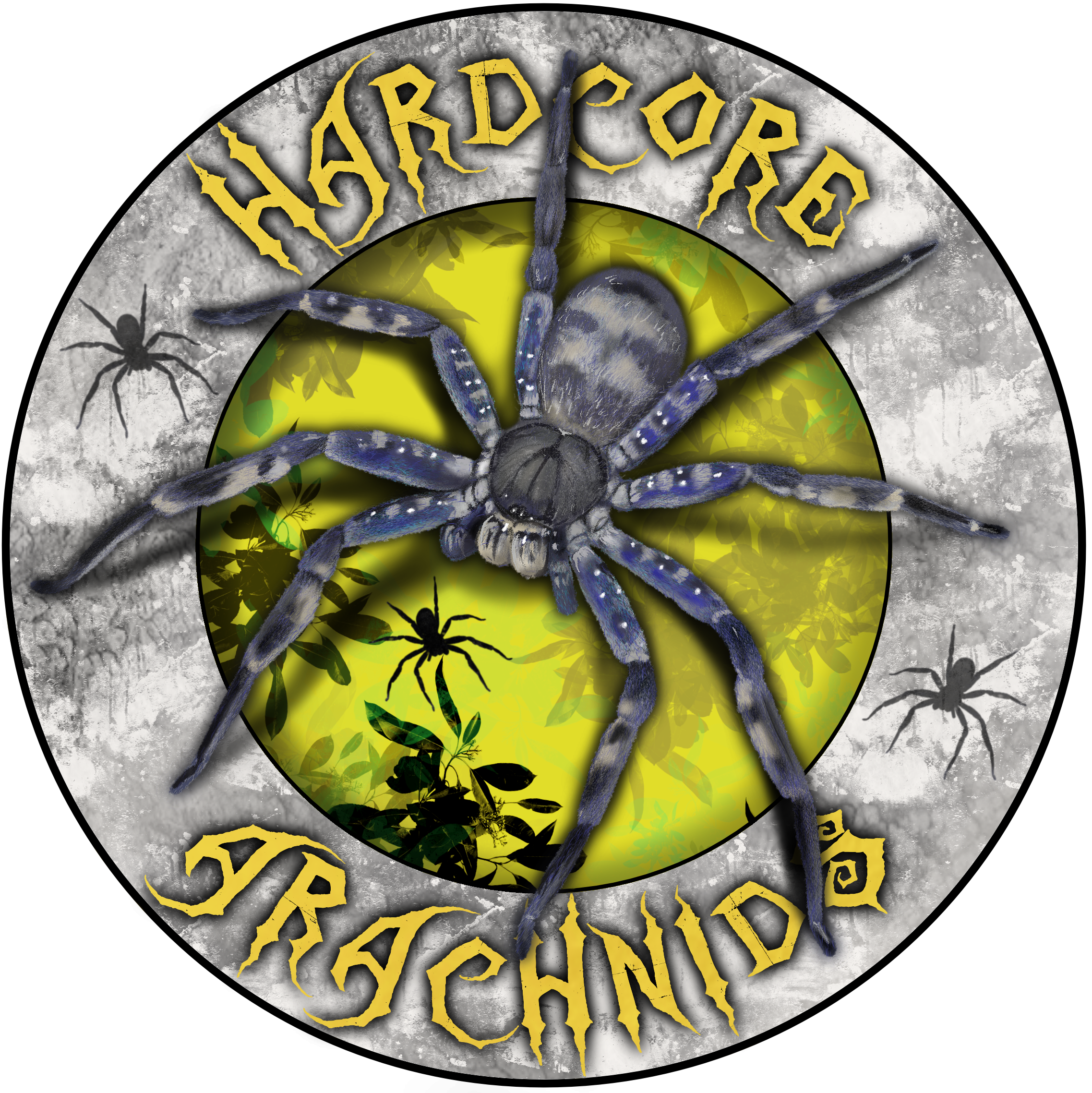 Hardcore Arachnids
