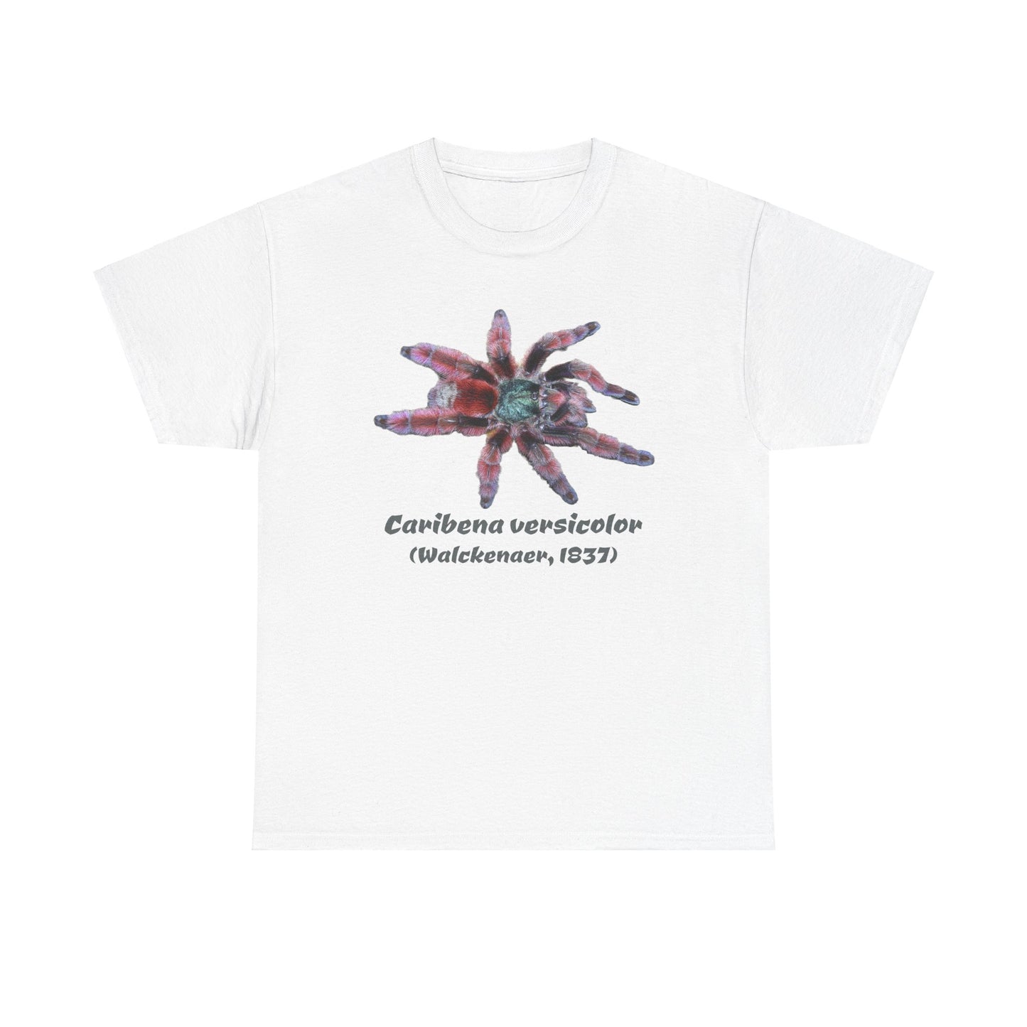 Caribena versicolor Unisex Heavy Cotton Tee