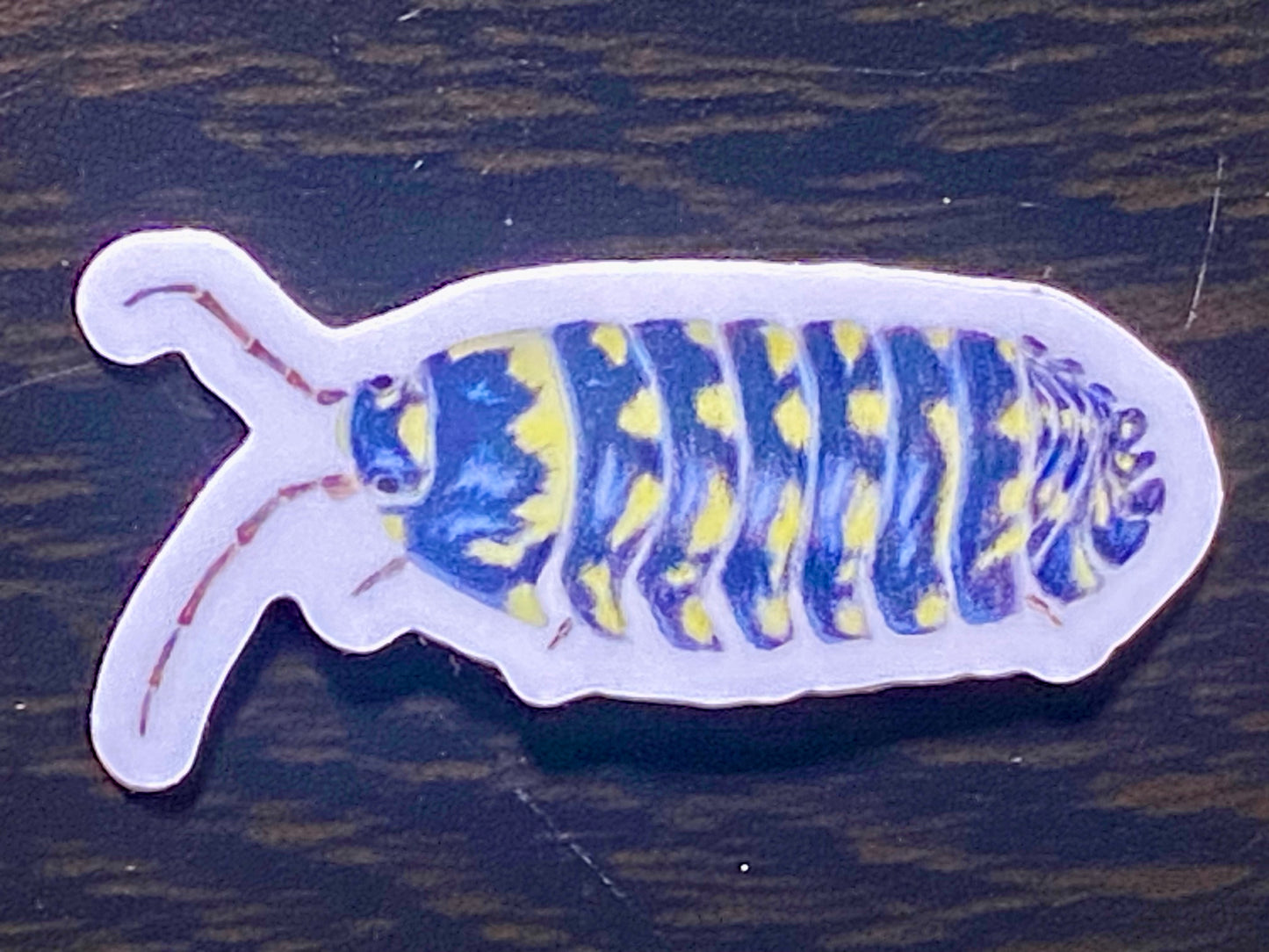 1” Vinyl stickers (10 pack of assorted isopods)
