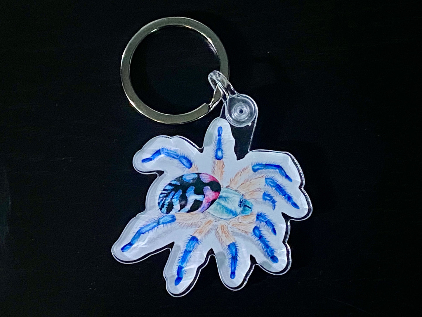 2” Acrylic keychain (Typhochlaena seladonia)