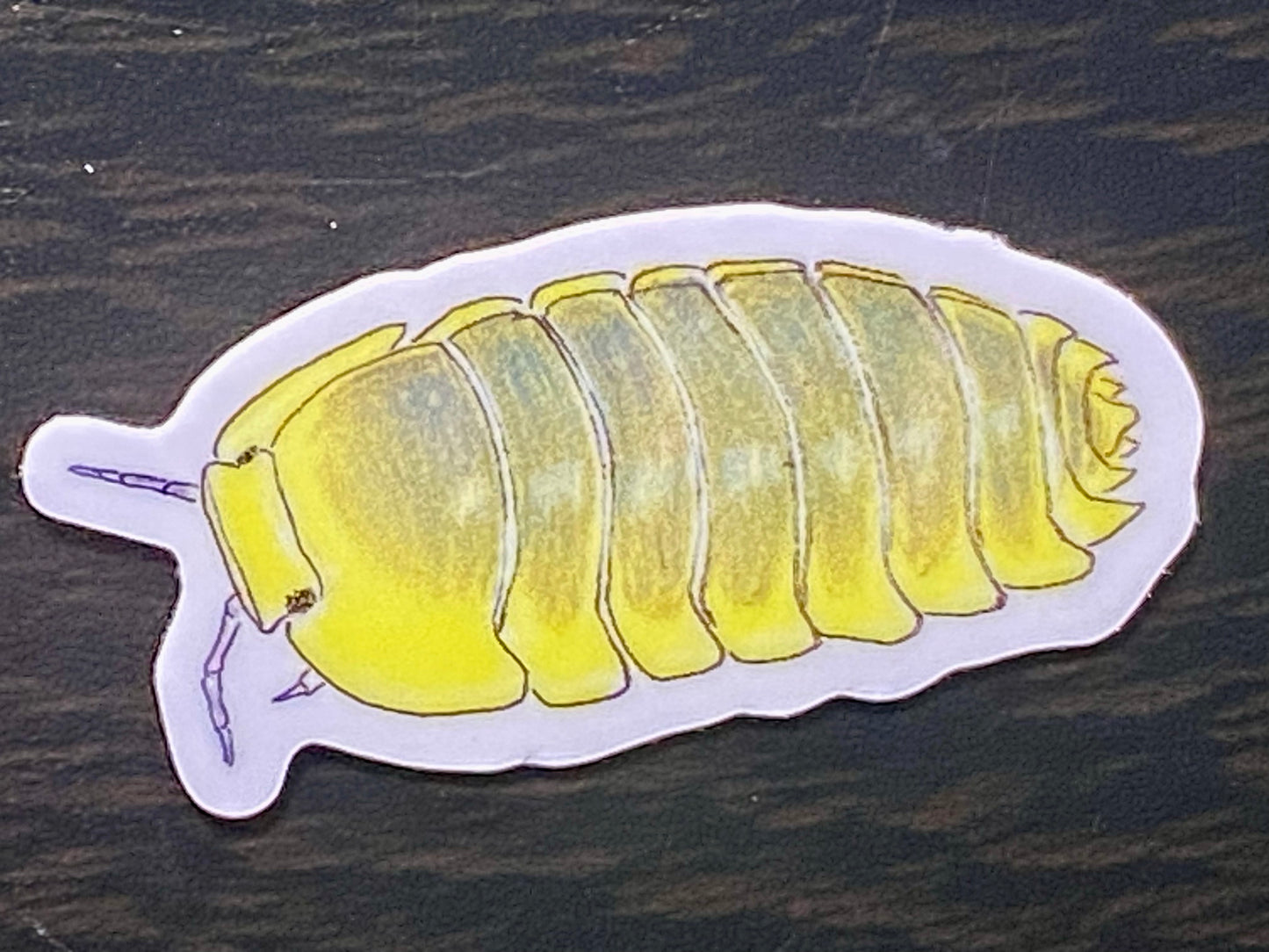 1” Vinyl stickers (10 pack of assorted isopods)