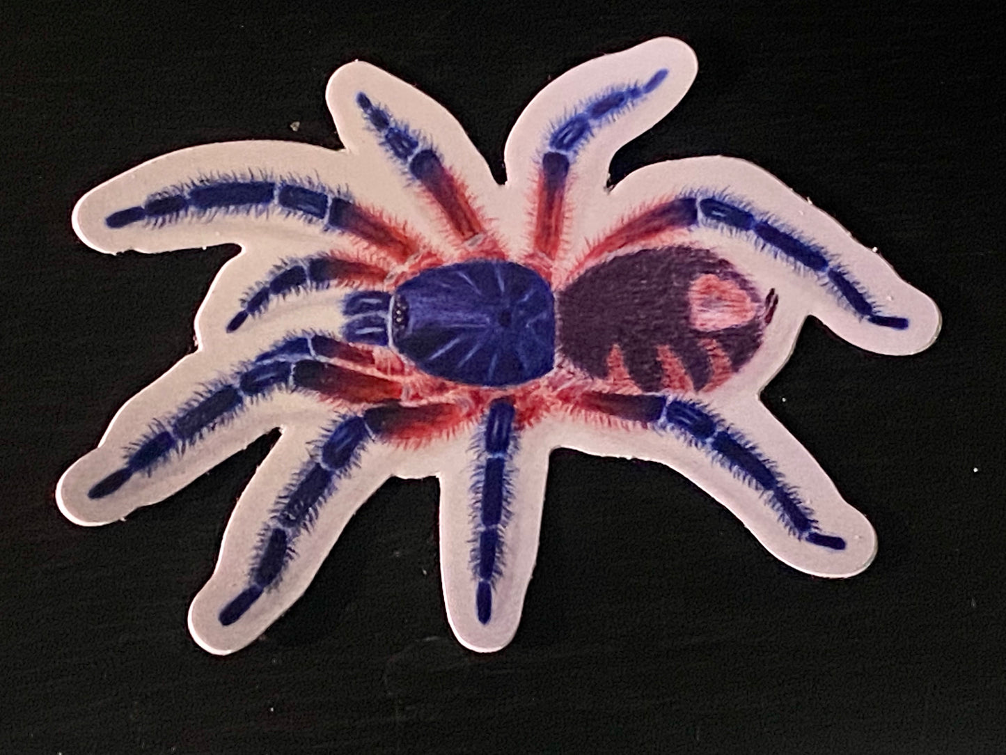 3” Vinyl stickers (Davis so. Panama)