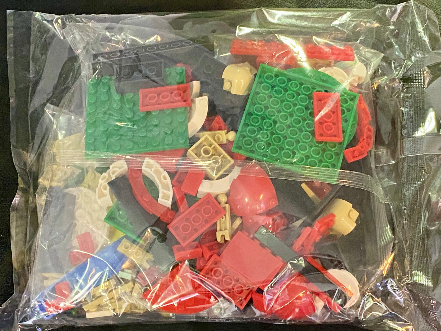 Jumping Spider Building Block set
