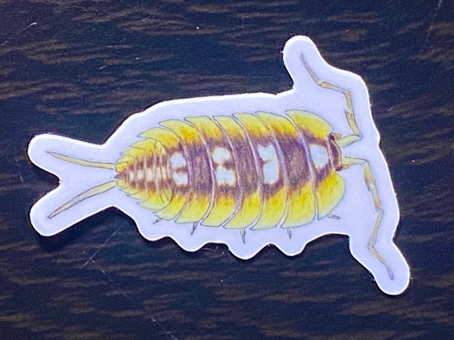 1” Vinyl stickers (10 pack of assorted isopods)