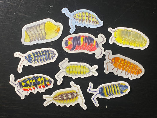 1” Vinyl stickers (10 pack of assorted isopods)