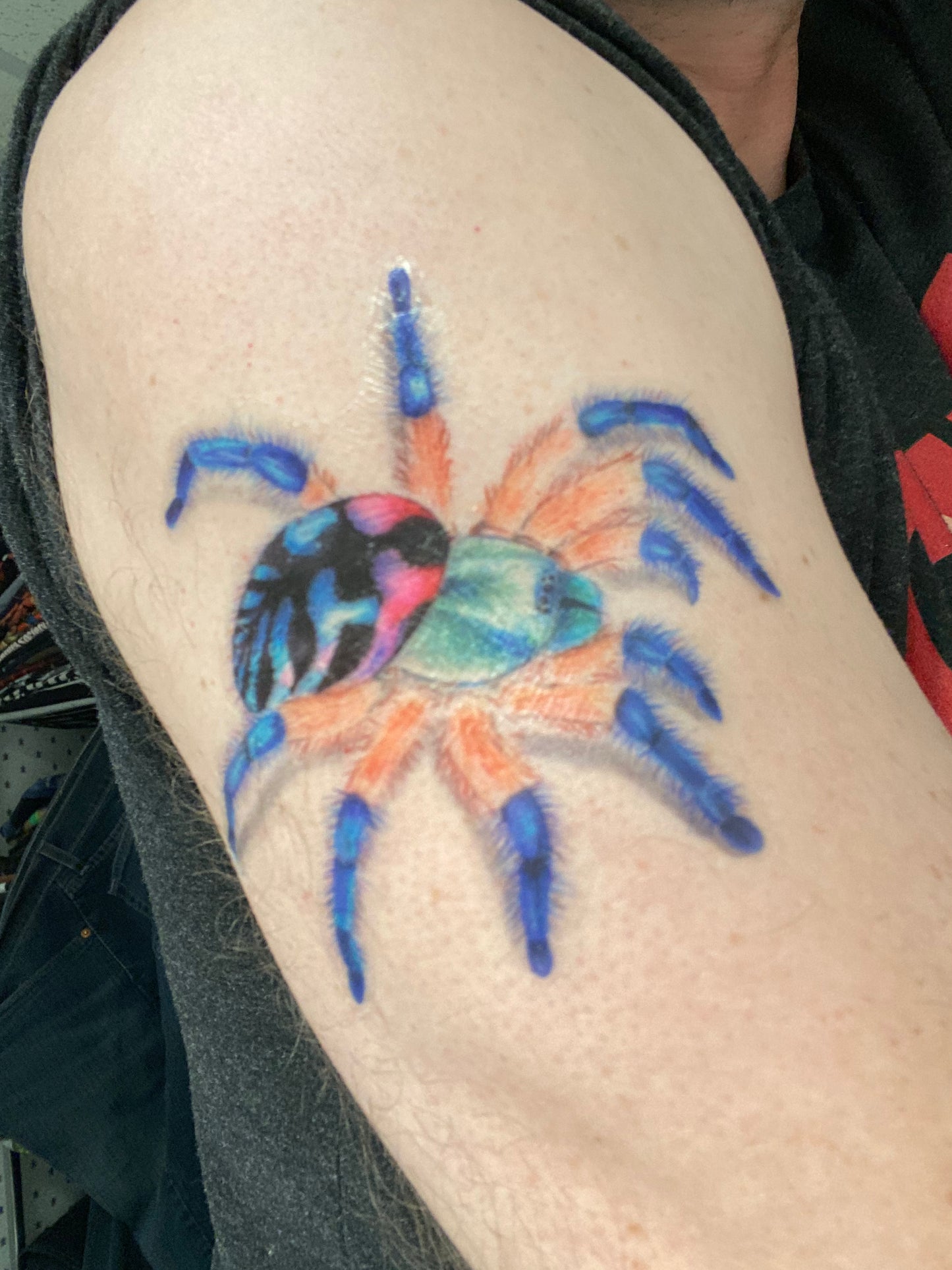 Temporary tattoo (4” Typhochlaena seladonia)