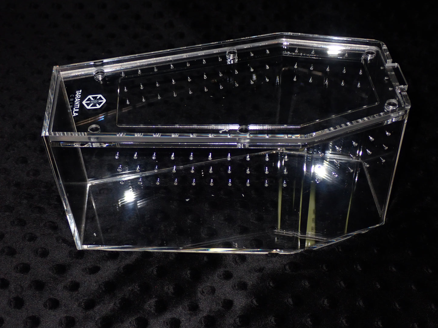 Coffin Crib Medium- Clear