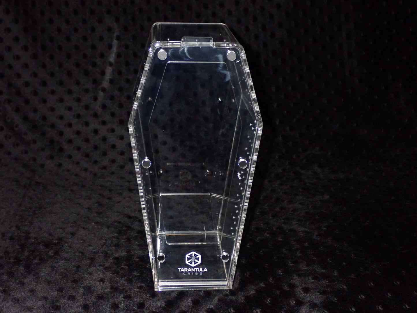Coffin Crib Medium- Clear