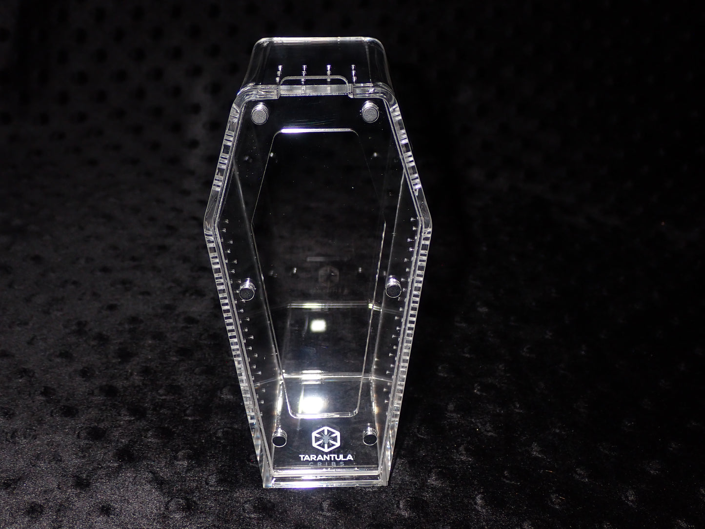 Coffin Crib Mini- Clear