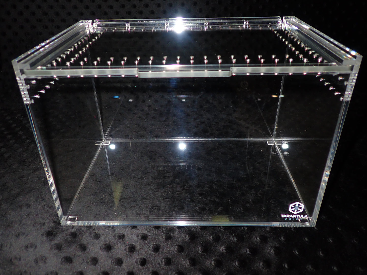 Large Slider Crib Pro- Clear Bottom
