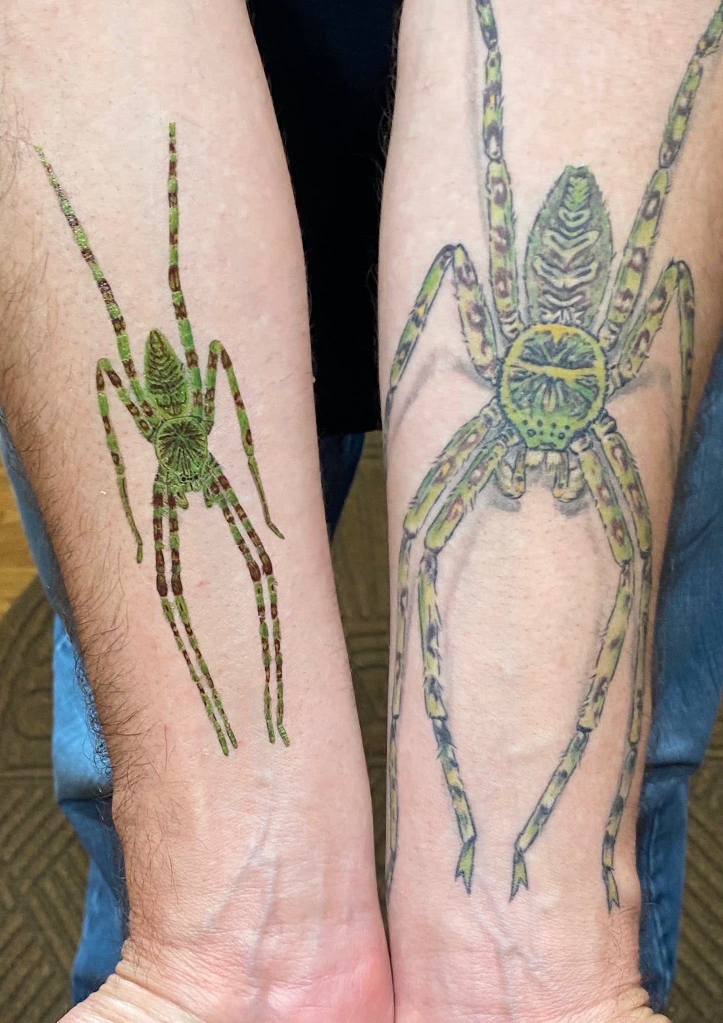 Temporary Tom tattoo (6”Heteropoda boiei)