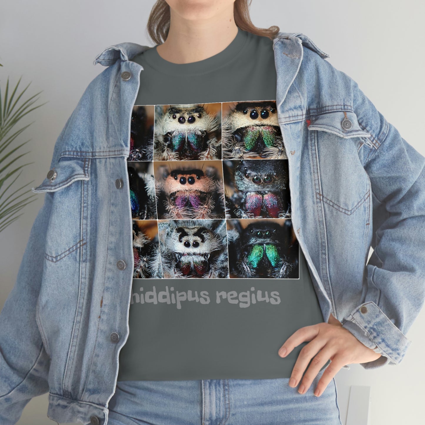 Jumping spider Unisex Heavy Cotton Tee