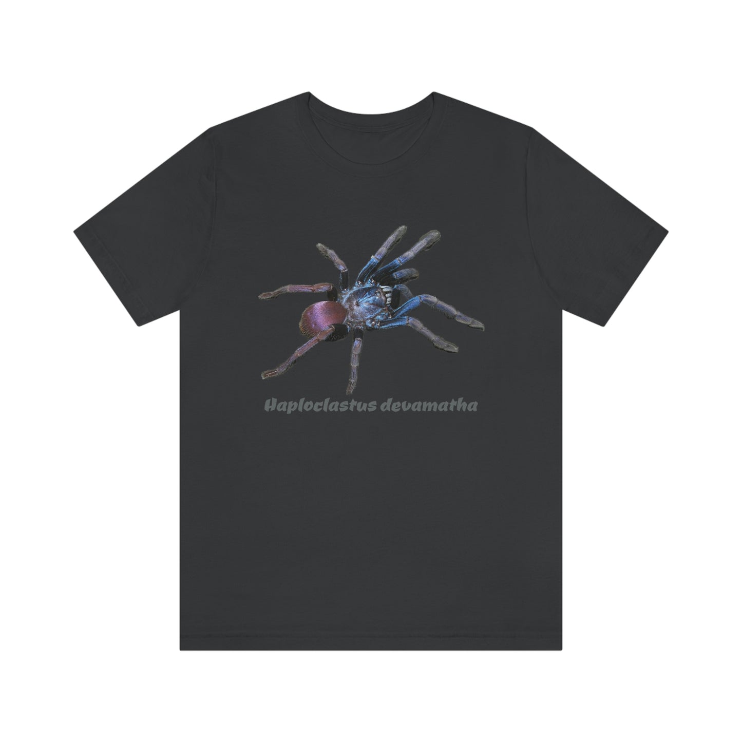 Haploclastus devamatha Unisex Jersey Short Sleeve Tee