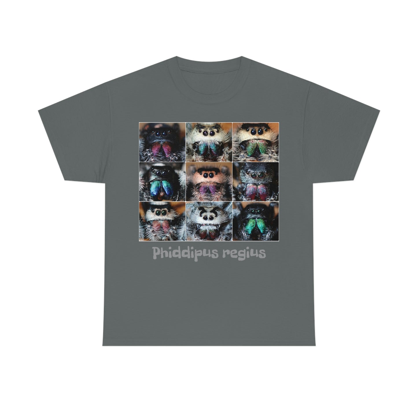 Jumping spider Unisex Heavy Cotton Tee