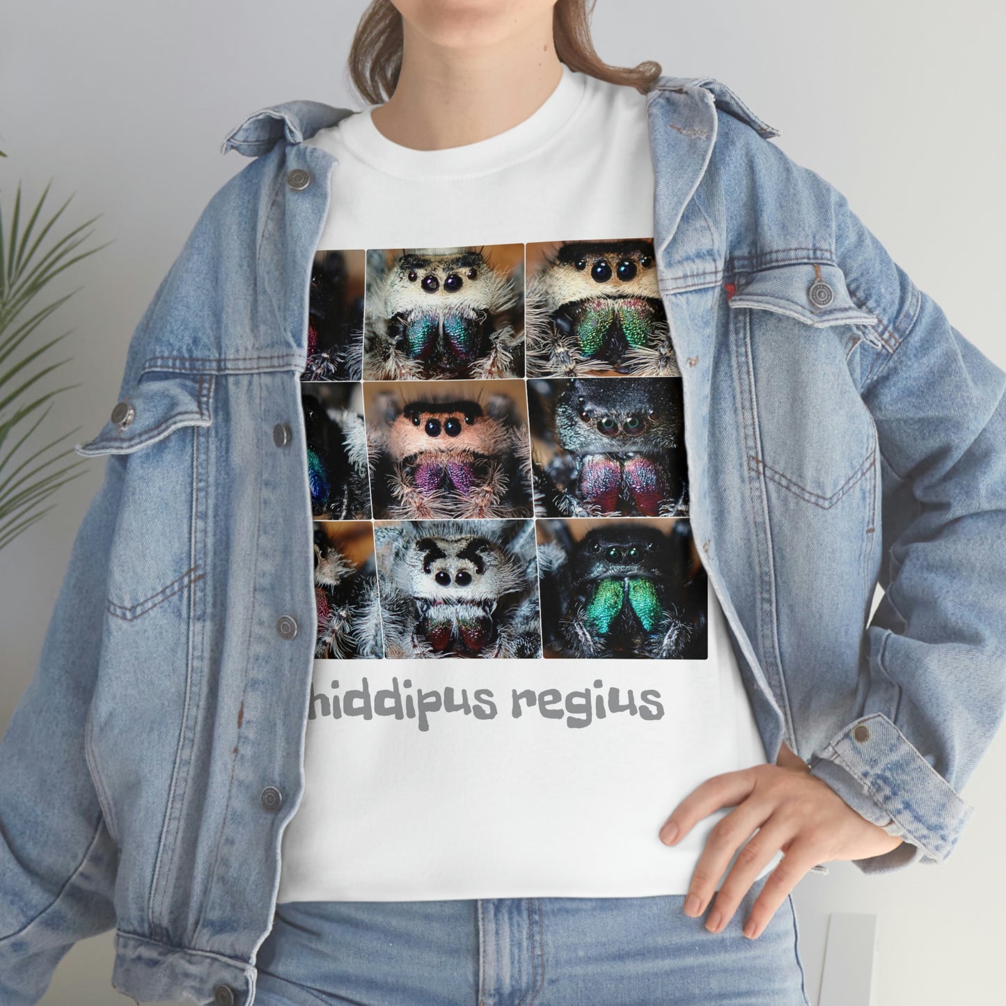 Jumping spider Unisex Heavy Cotton Tee