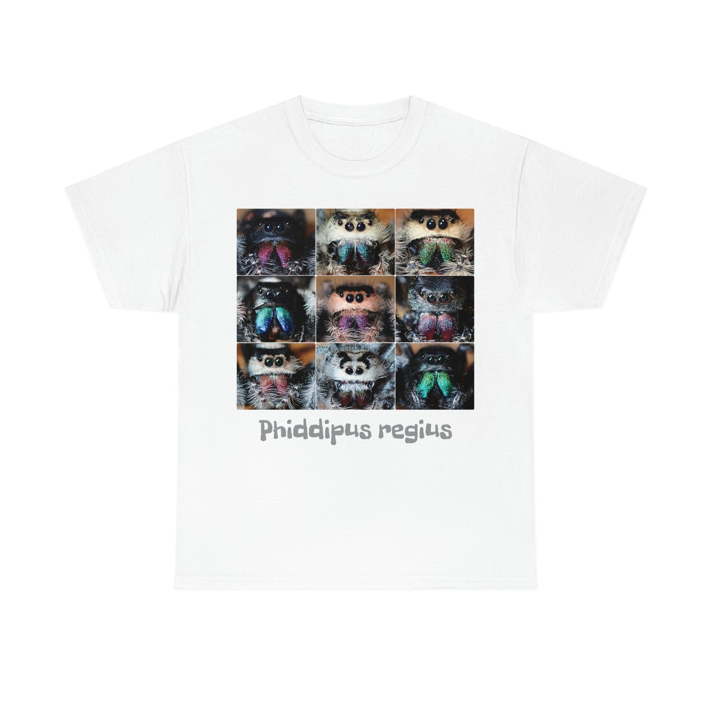 Jumping spider Unisex Heavy Cotton Tee