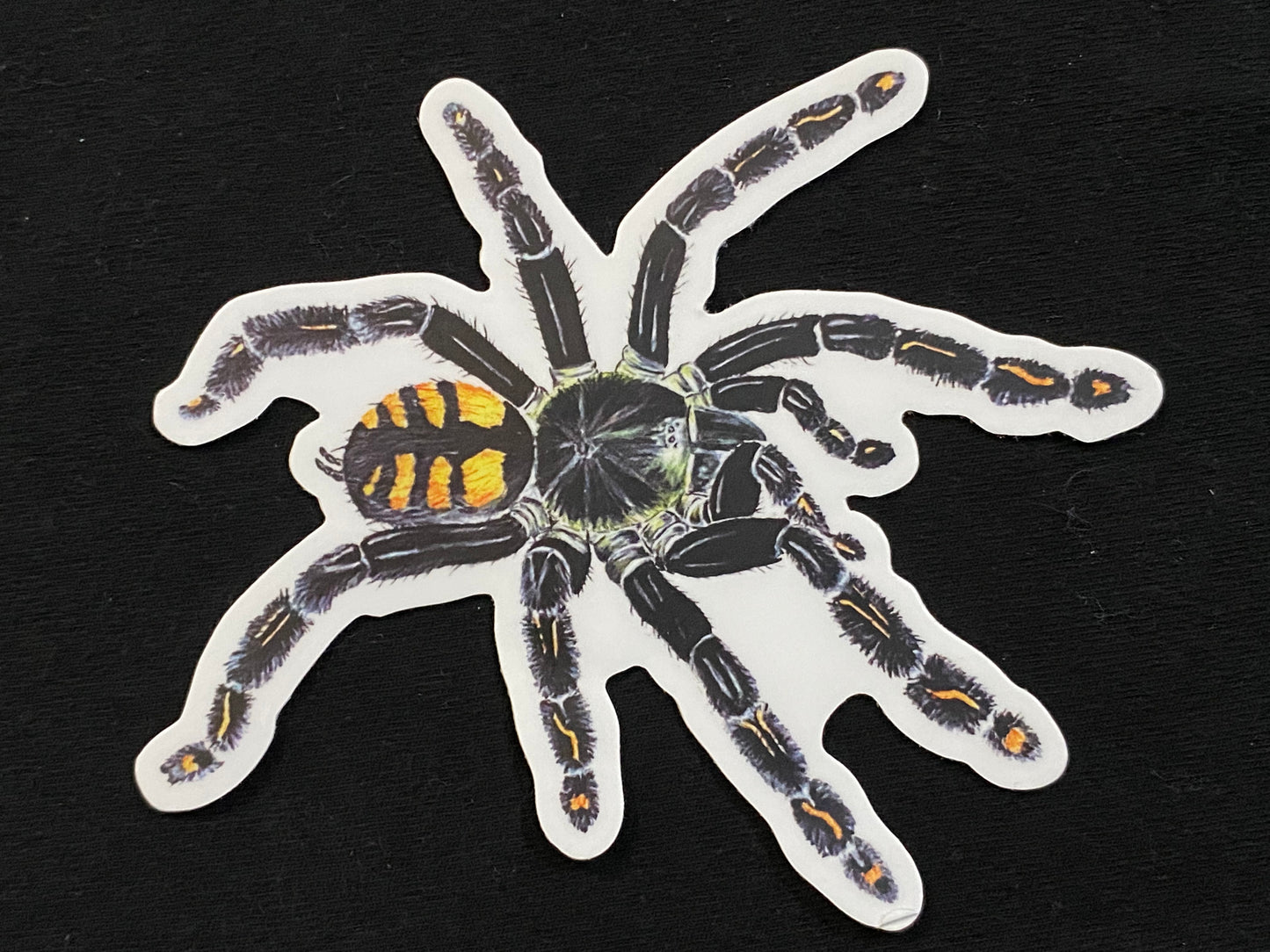 4” Static cling decal (P. irminia)