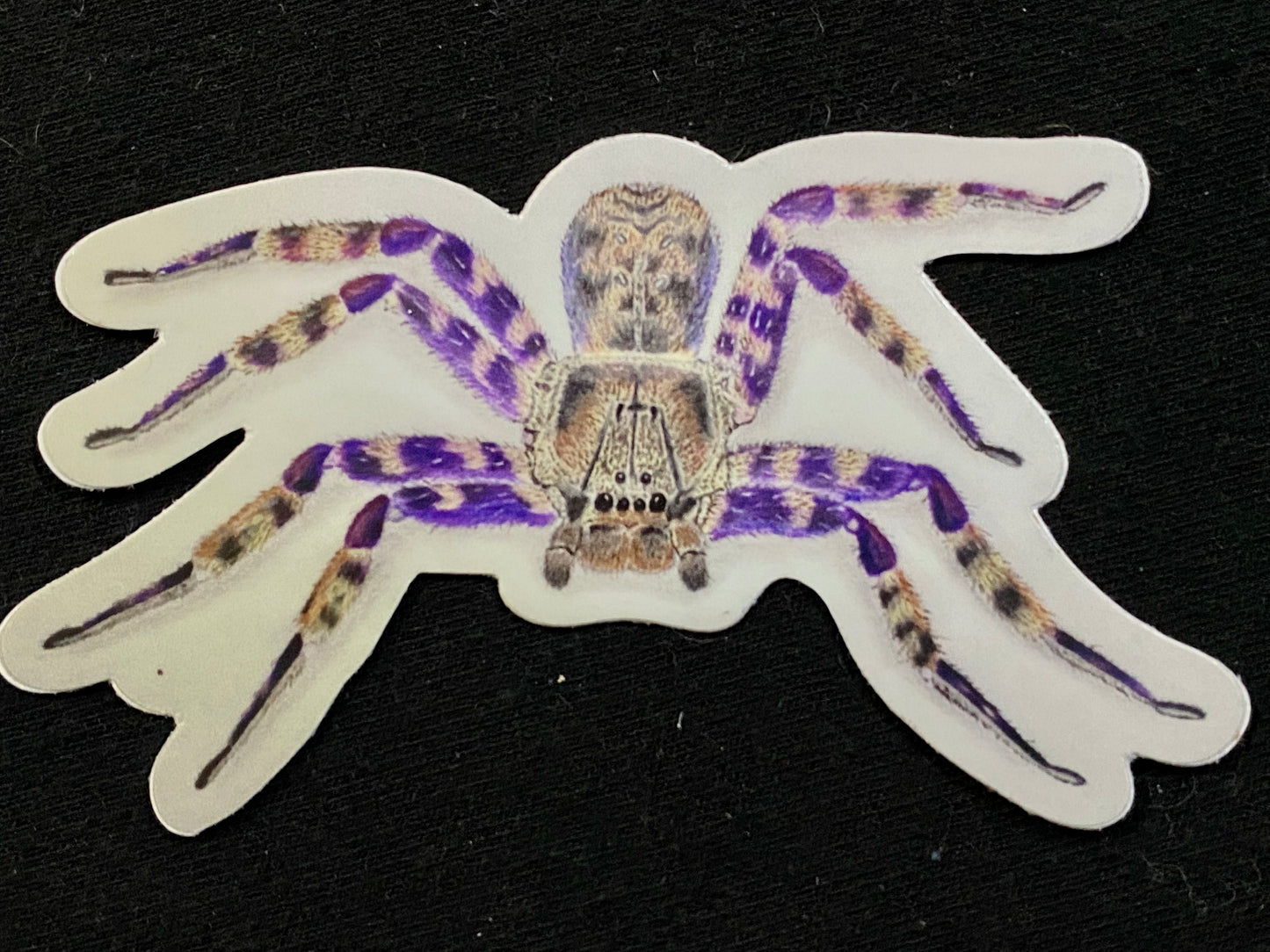 2” Vinyl stickers (H. lunula)