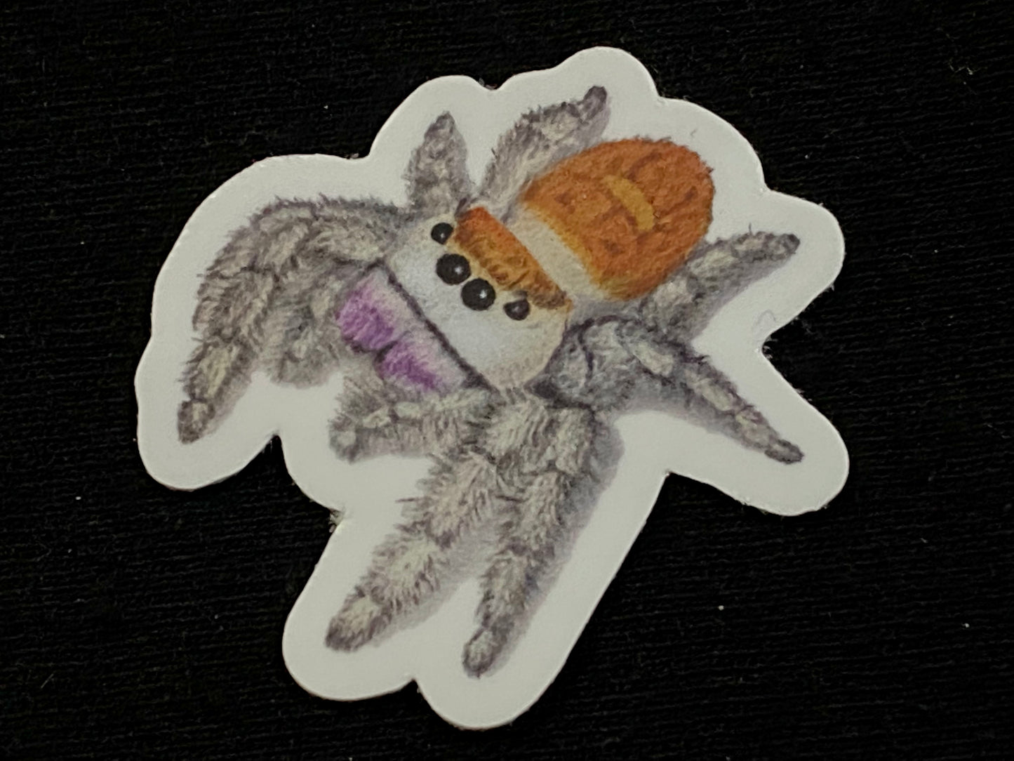 1” Vinyl stickers (P. regius)