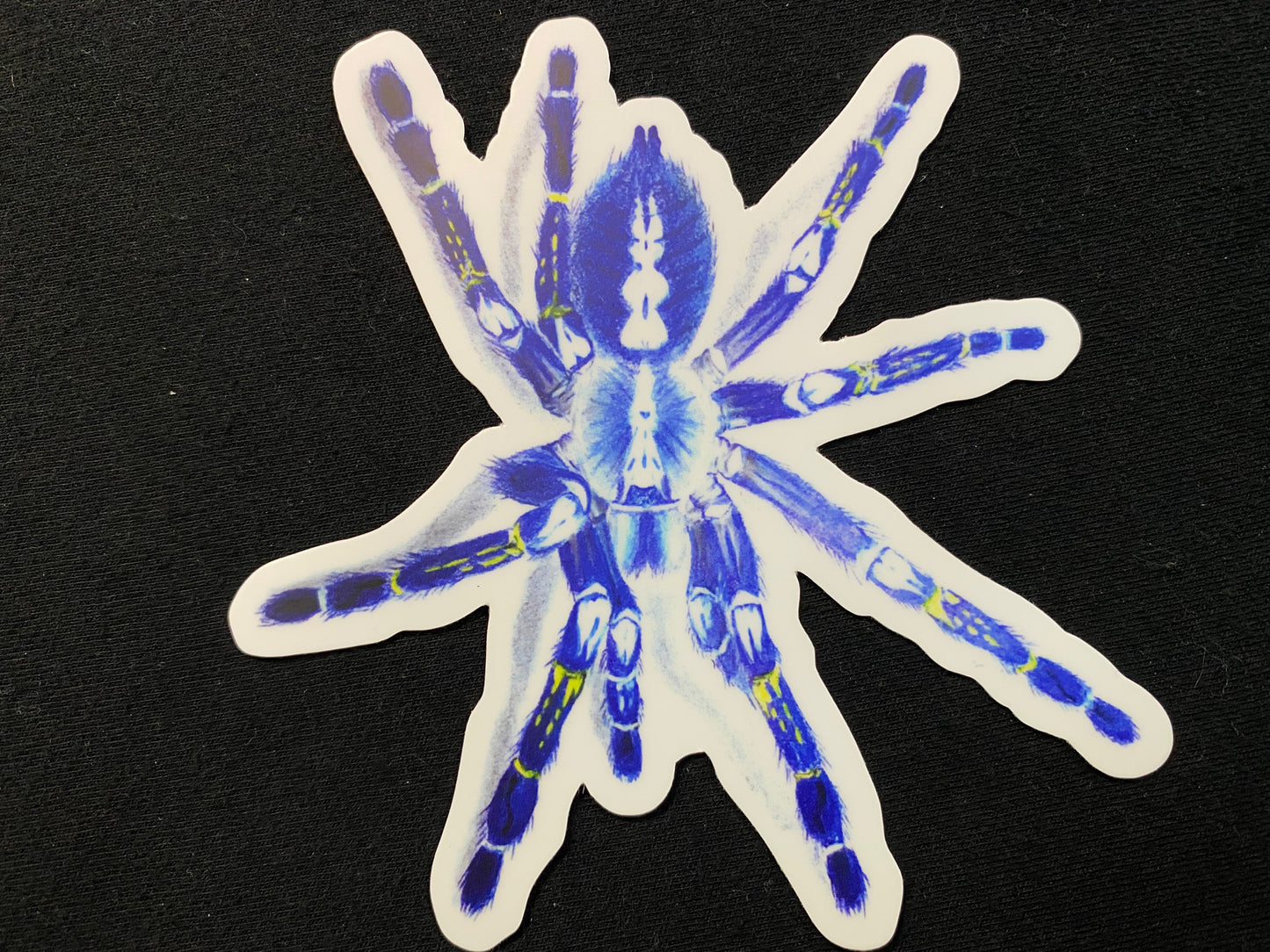 4” Vinyl stickers (P. metallica)