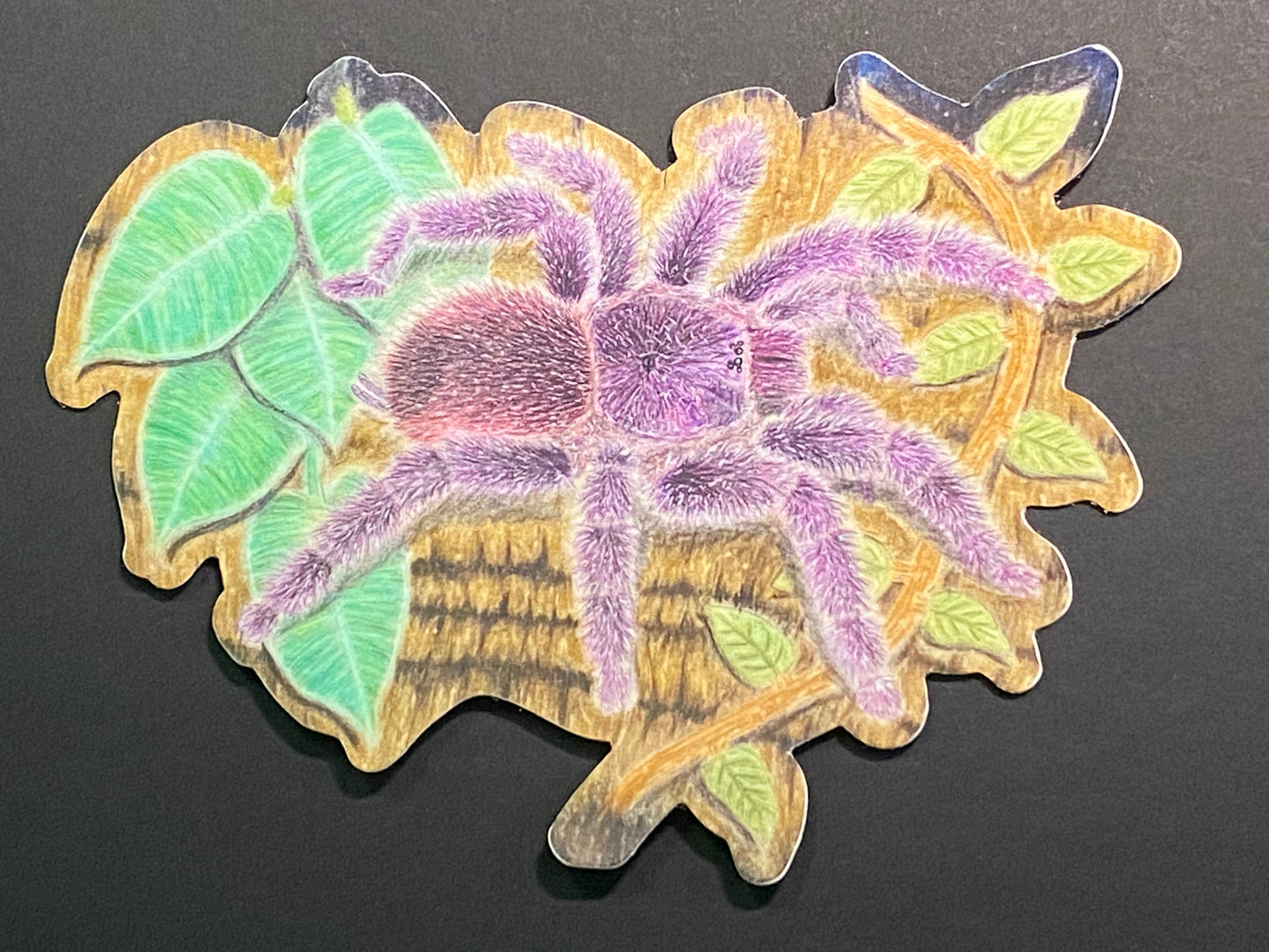 4 Vinyl stickers (A. juruensis)