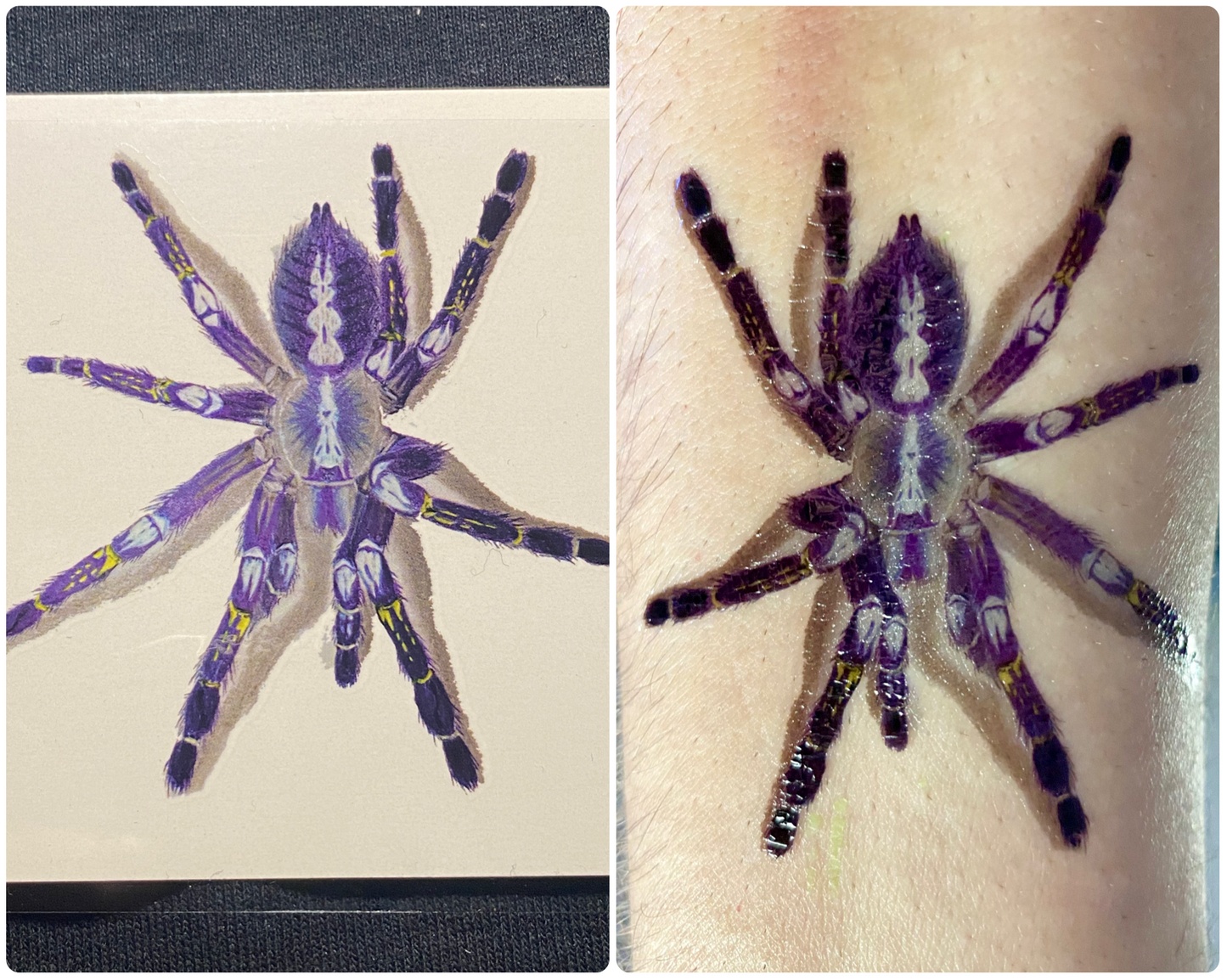 Temporary tattoo (3” Poecilotheria metallica)