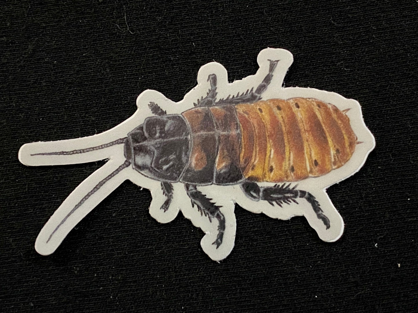 2” Vinyl stickers (G. portentosa)