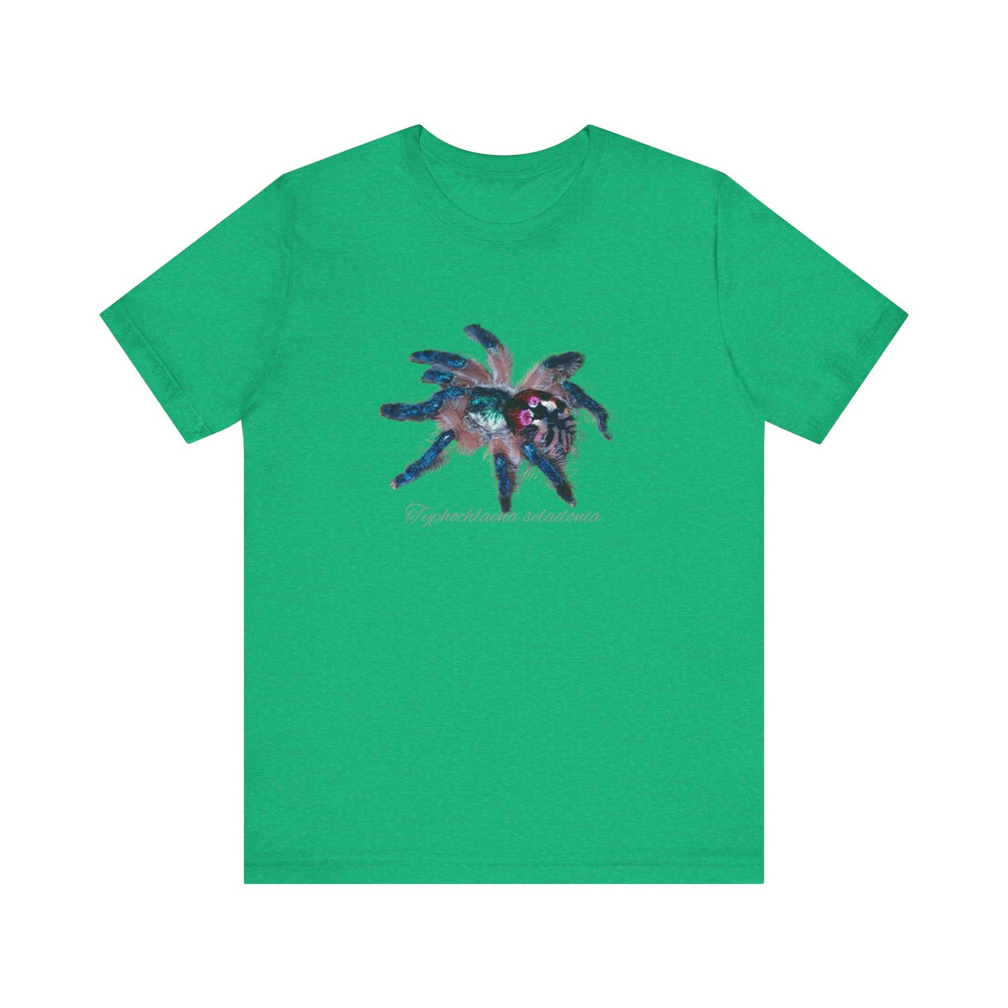 Typhochlaena seladonia Unisex Jersey Short Sleeve Tee