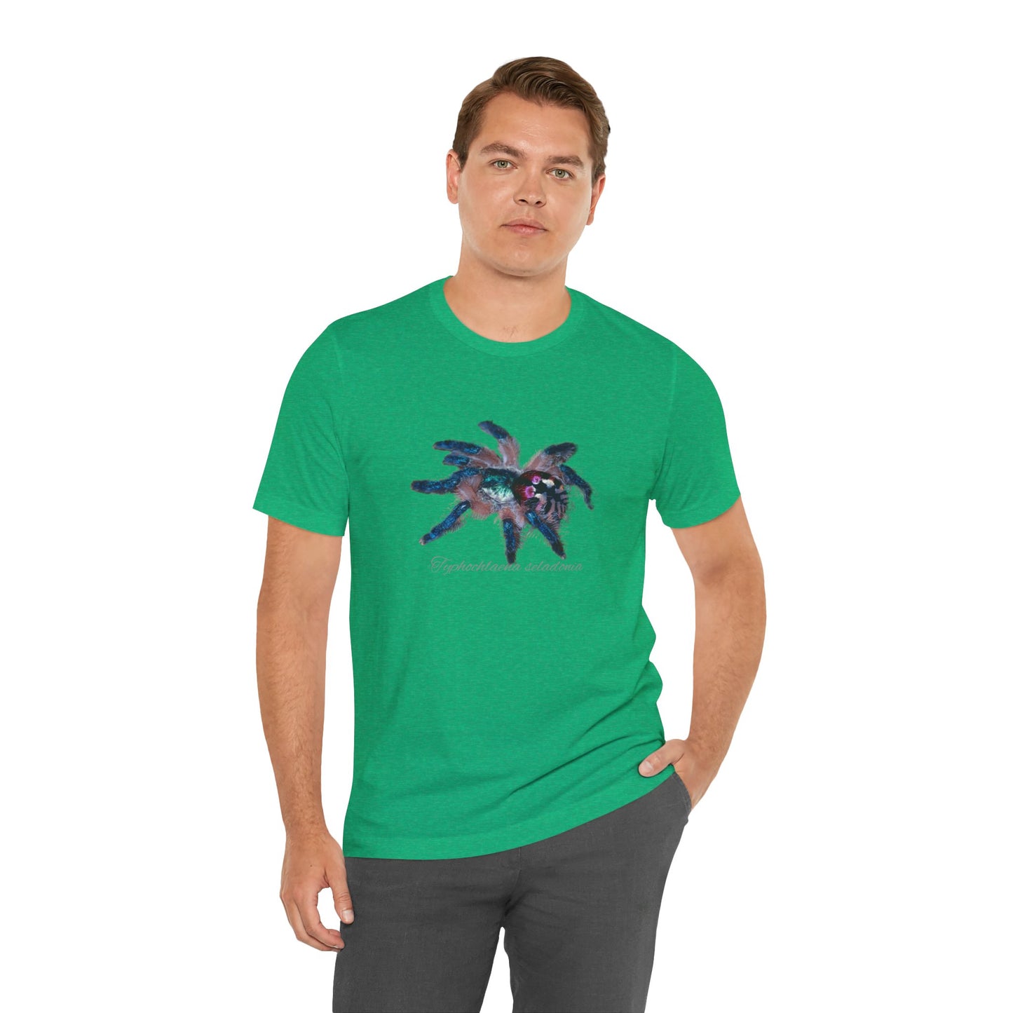 Typhochlaena seladonia Unisex Jersey Short Sleeve Tee