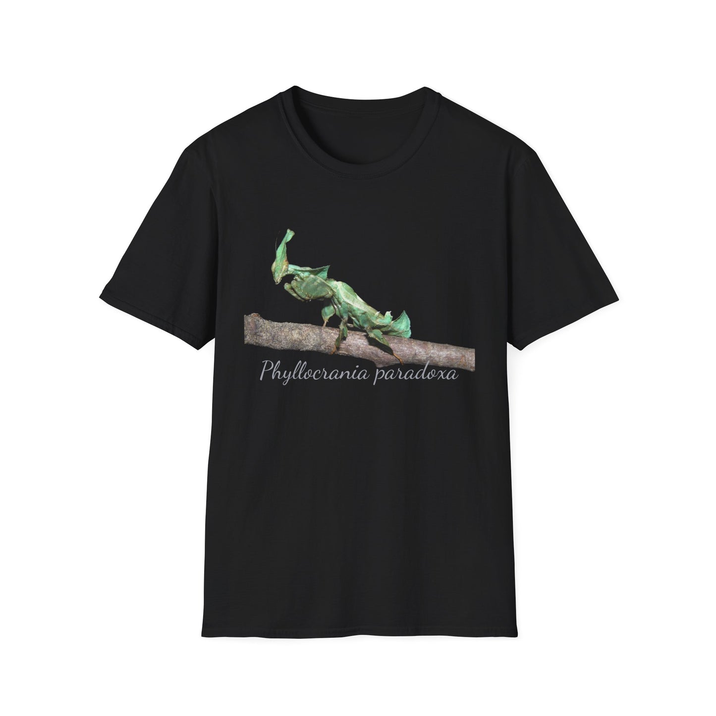 Phyllocrania paradoxa T-Shirt