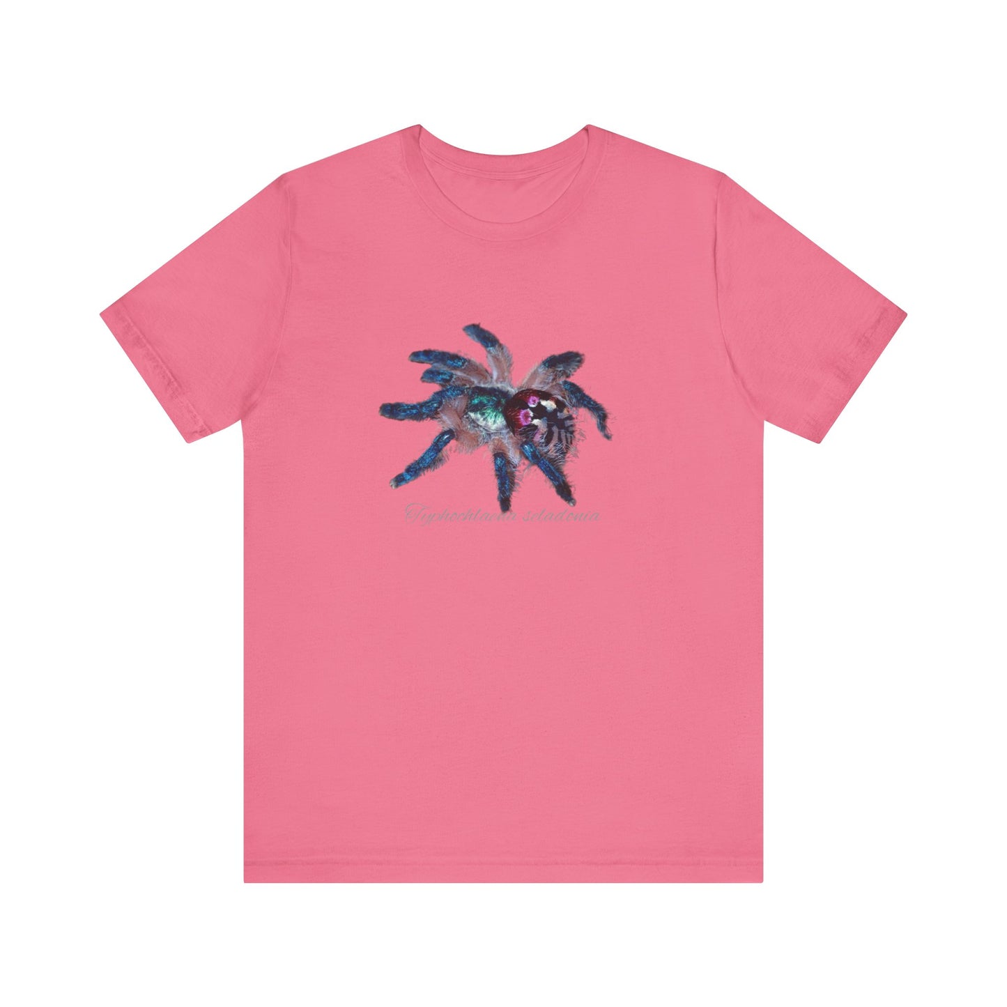 Typhochlaena seladonia Unisex Jersey Short Sleeve Tee