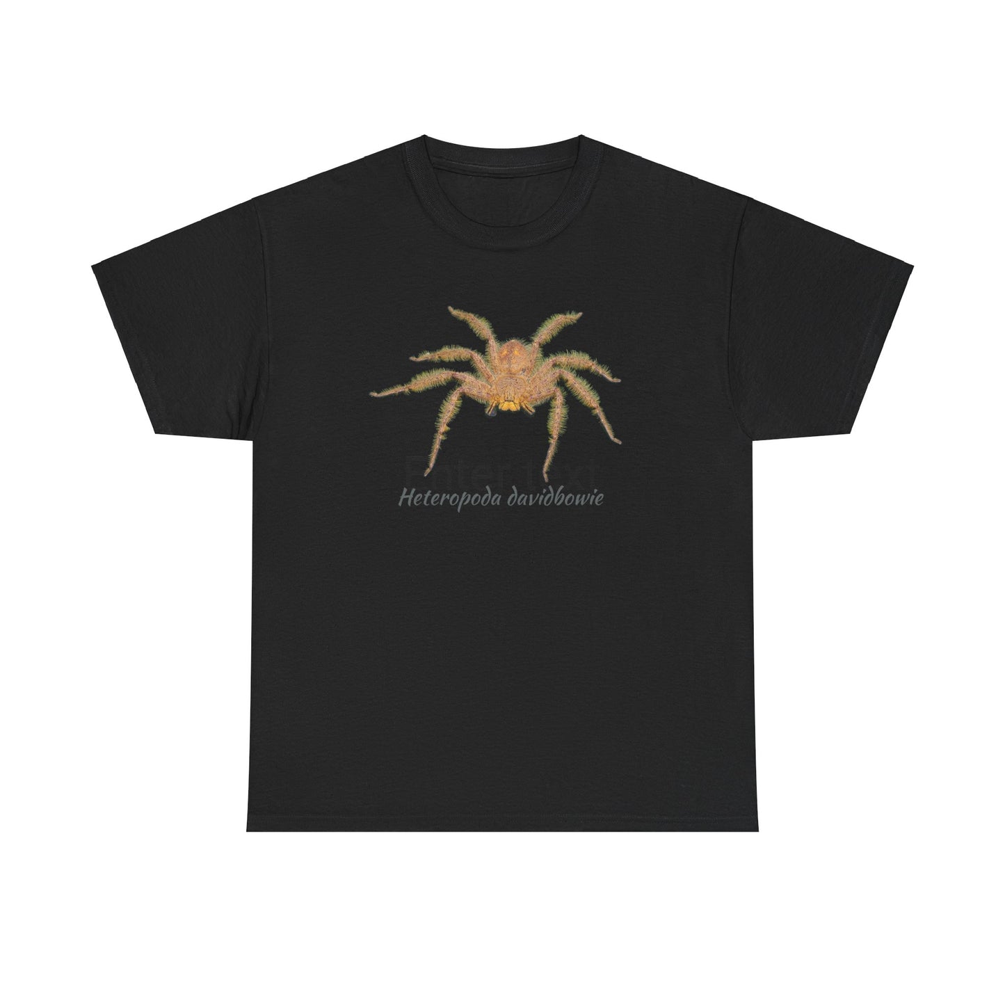 Heteropoda davidbowie Unisex Heavy Cotton Tee