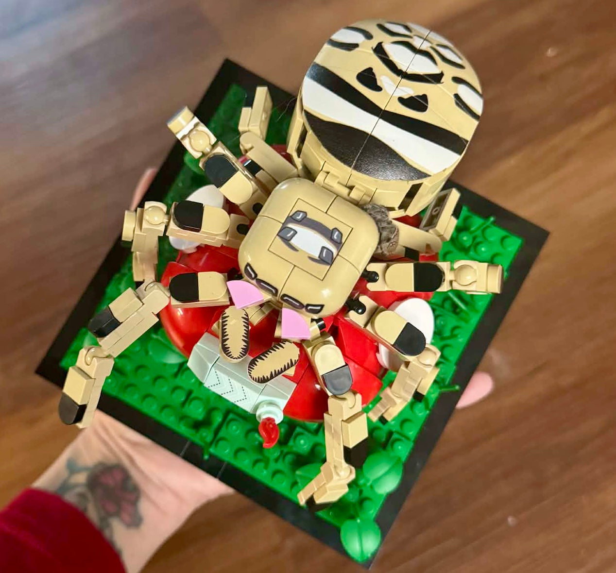 Jumping Spider Building Block set