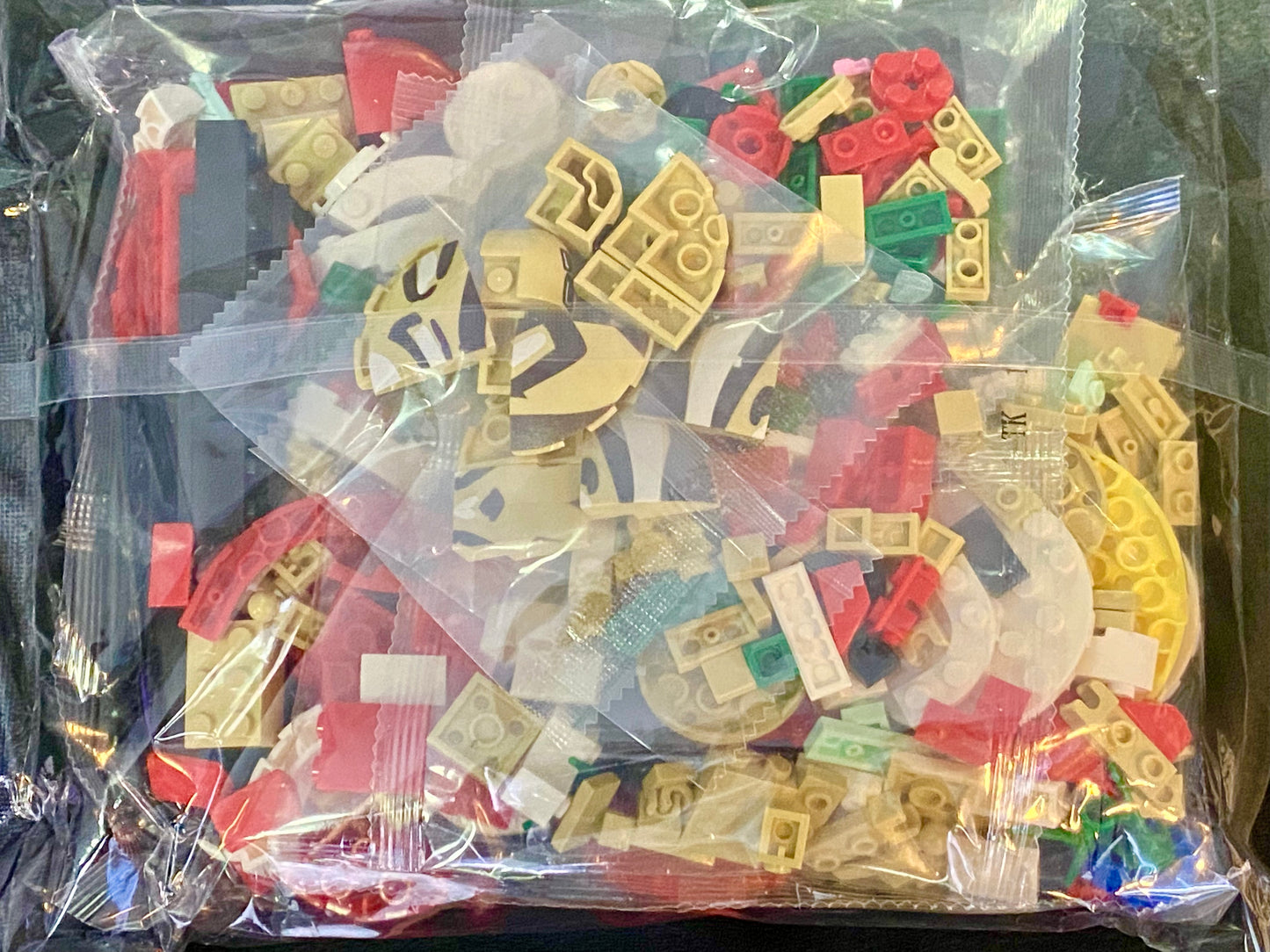Jumping Spider Building Block set