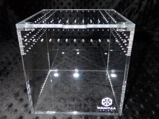 Tarantula Cube 6”