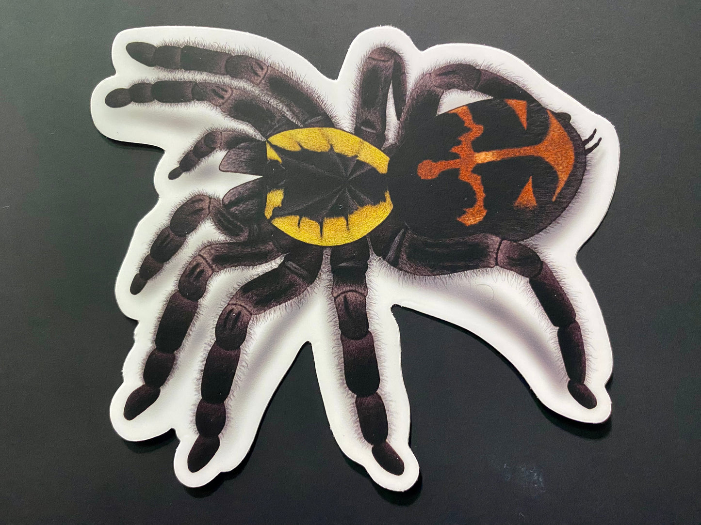 4” Vinyl sticker (J. butantan)