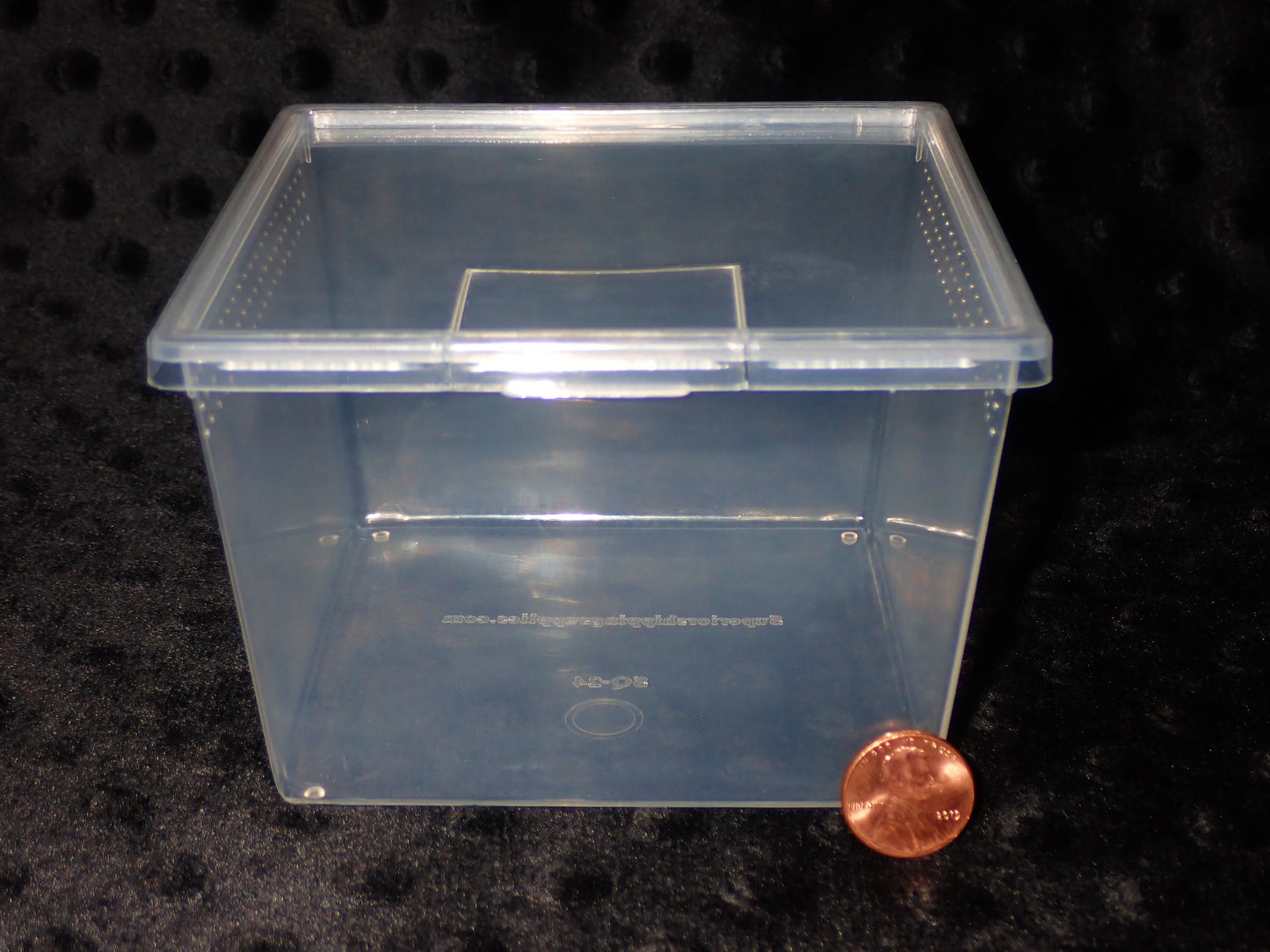 Mini habitat 4.5″ x  3″ Vented Square cup 24 oz pack of 5