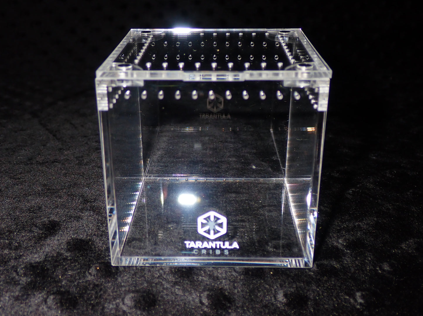 Tarantula Cube 3”