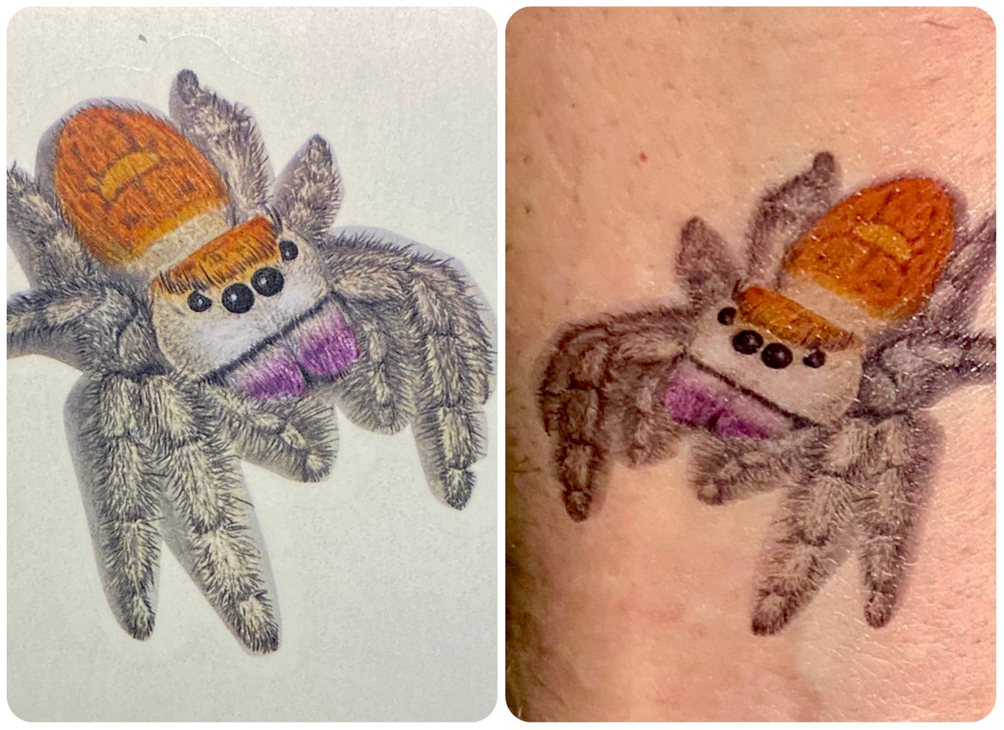 Jumping spider temporary tattoo