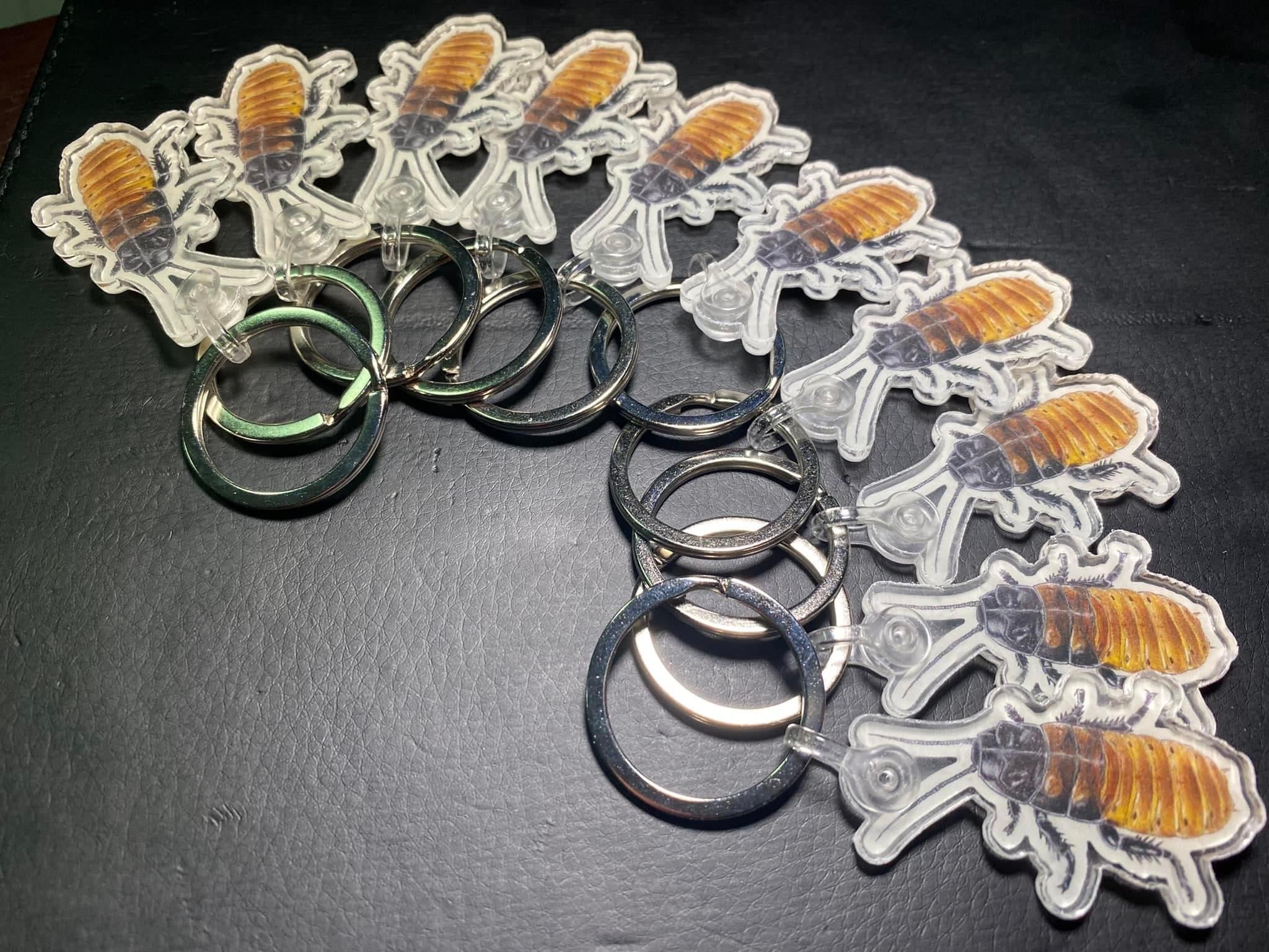 2” Acrylic keychain (Hissing roach) – Hardcore Arachnids