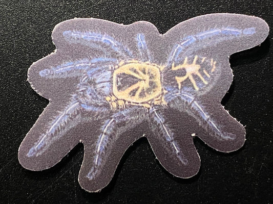 1” Vinyl stickers (C. leetzi)